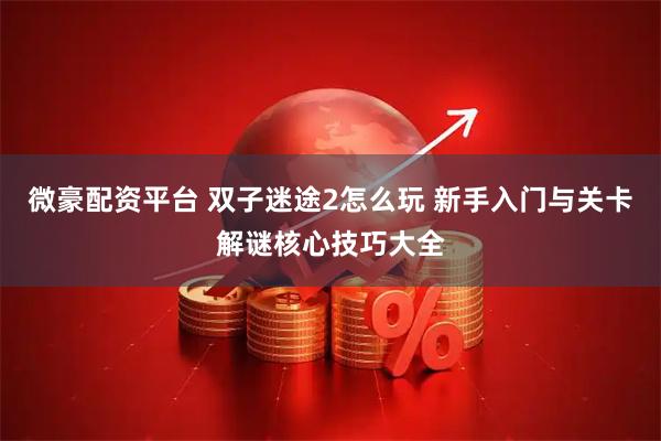 微豪配资平台 双子迷途2怎么玩 新手入门与关卡解谜核心技巧大全