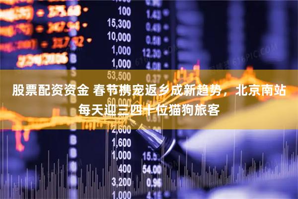 股票配资资金 春节携宠返乡成新趋势，北京南站每天迎三四十位猫狗旅客